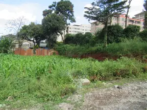 1-Acre Plot for Sale in Thindigua