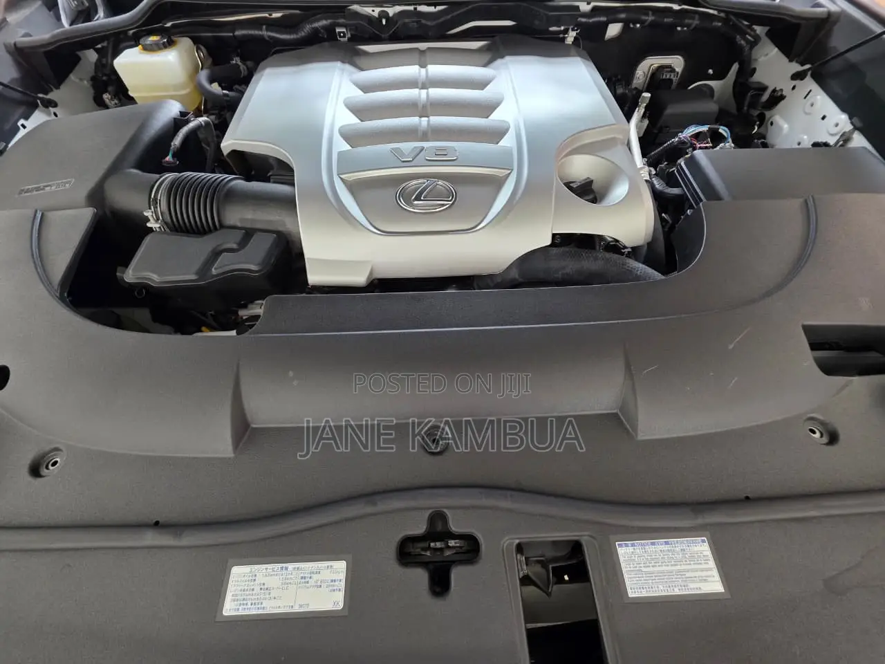 Lexus LX 570 (5 seats) AWD 2019 Pearl
