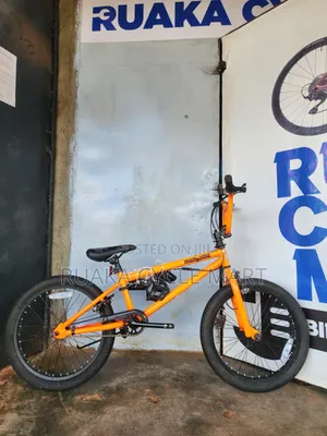 20-Inch Ex Usa BMX Bike