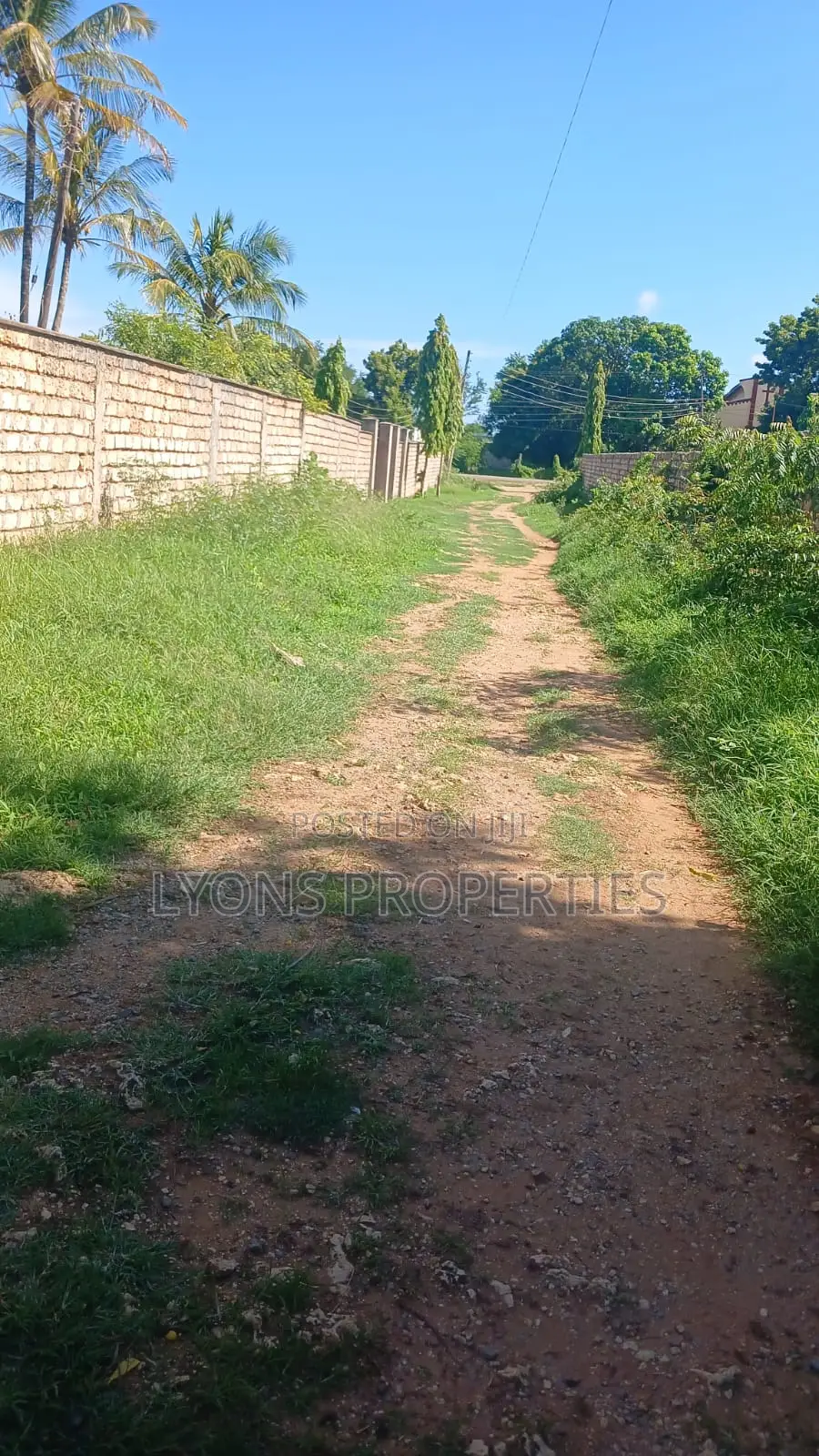 1 Acre of Land