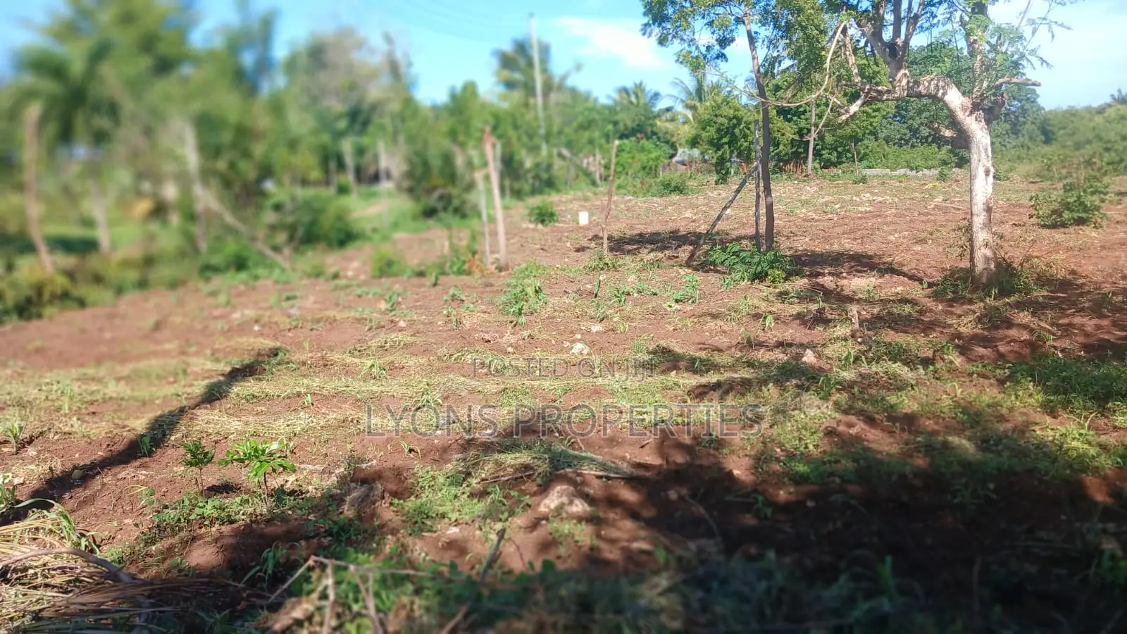 1 Acre of Land