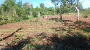 1 Acre of Land
