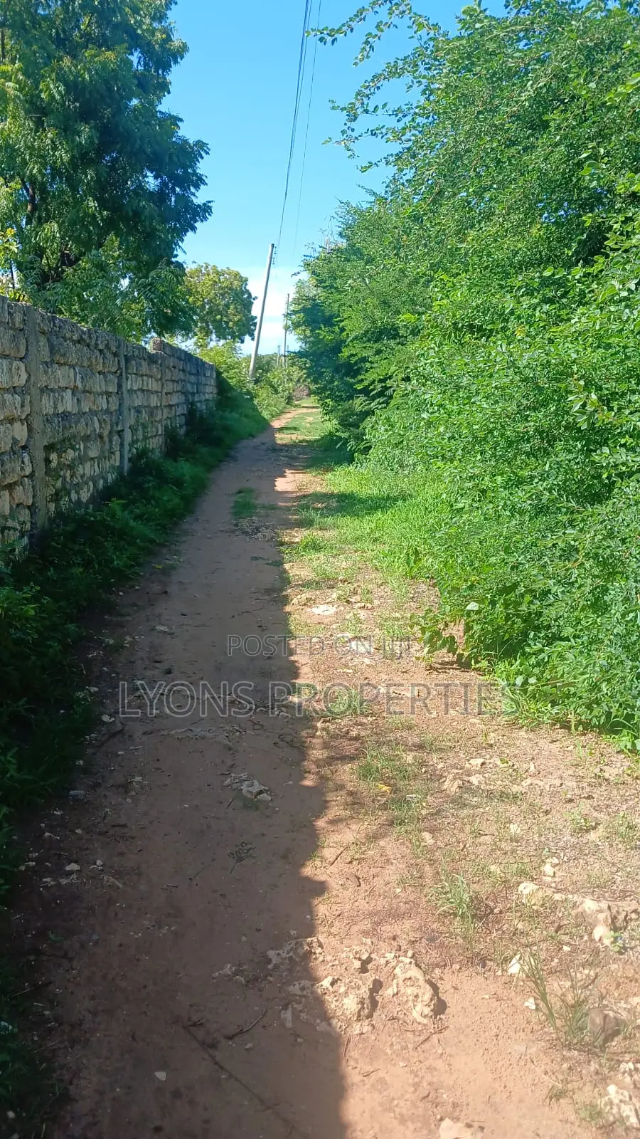 1 Acre of Land