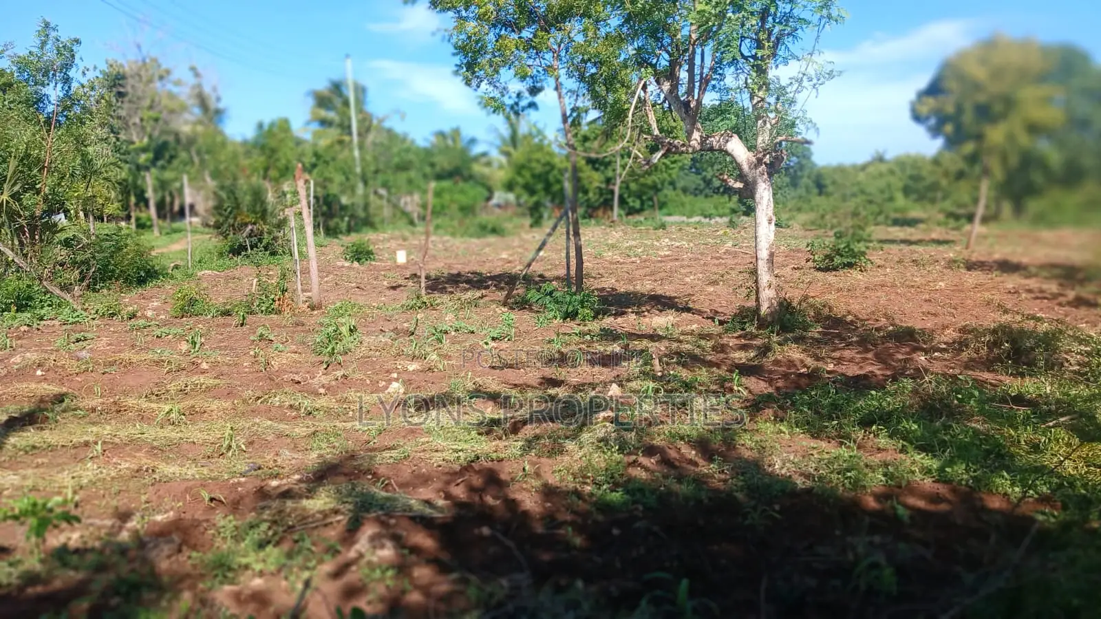 1 Acre of Land