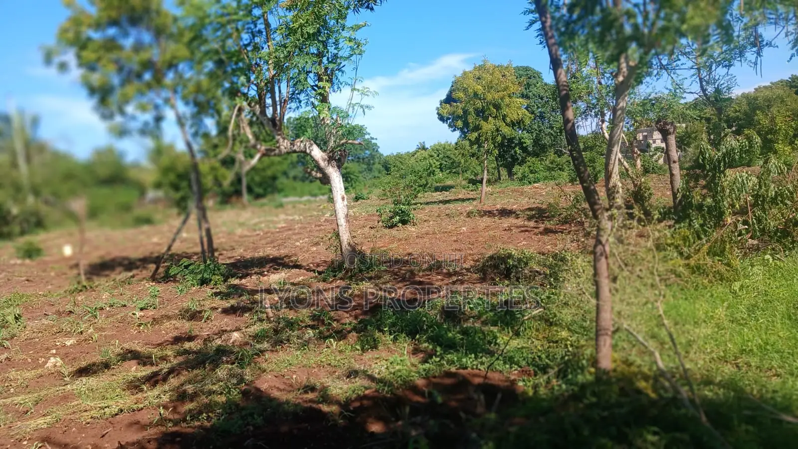 1 Acre of Land