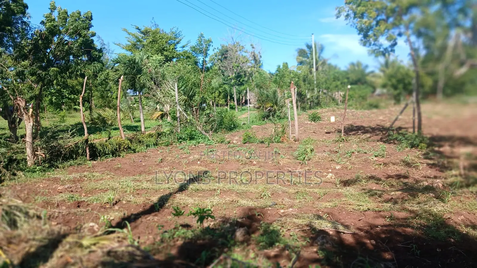 1 Acre of Land