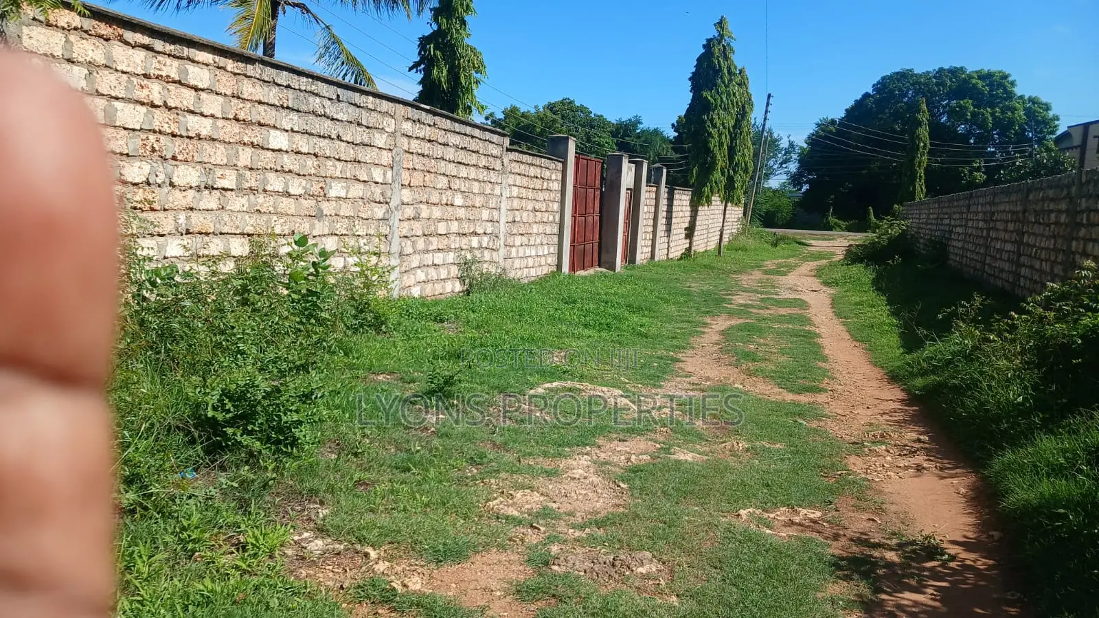 1 Acre of Land