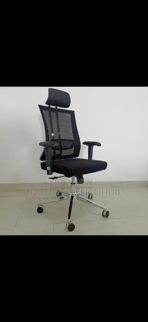 Modern Office Chair With Metallic Backsupport