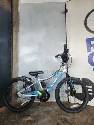 Ex Usa Schwinn Bicycle
