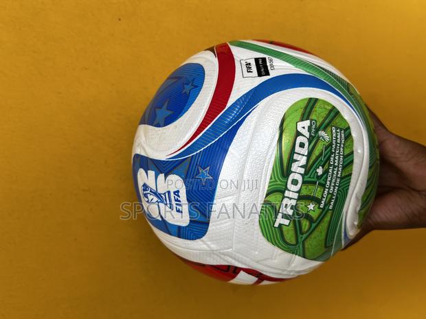 World Cup Ball - thumbnail 2