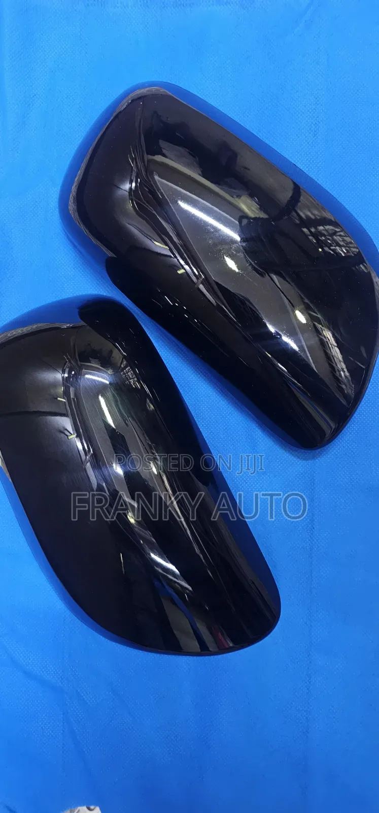 Side Mirror Cover Wish 2005