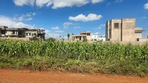 50*100 in Kenyatta Road Muigai Inn / Blue Valley Estate (2.8m)