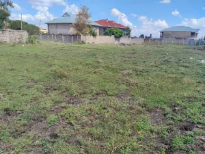 Plot 40x80