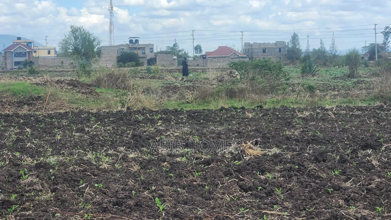 Prime 50x100 Plots in Murera (Magomano Area) – Ready Title –
