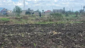 Prime 50x100 Plots in Murera (Magomano Area) – Ready Title –