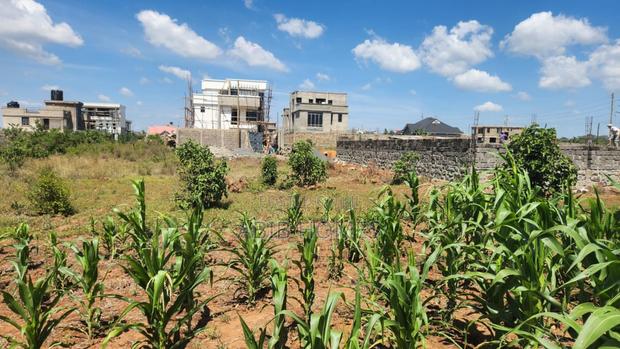 Prime 40x80 Plots in Tola – Ready Title – Only 2 Plots Remaining - thumbnail 2