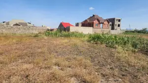 Prime 40x80 Plots in Tola – Ready Title – Only 2 Plots Remaining