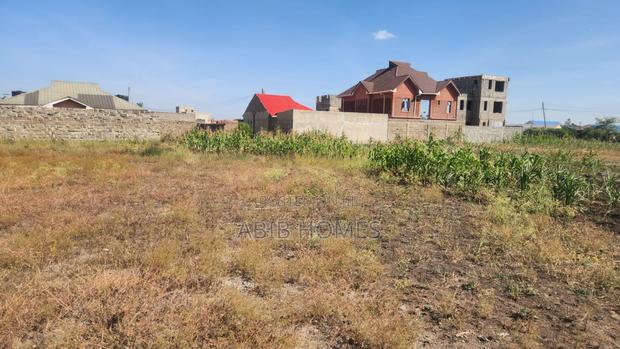 Prime 40x80 Plots in Tola – Ready Title – Only 2 Plots Remaining
