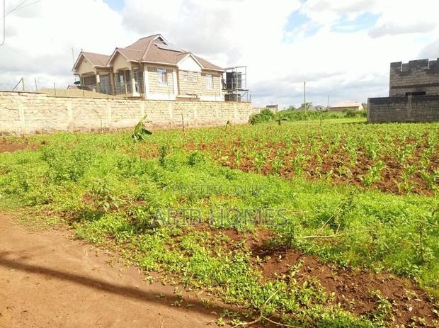 50x100 Plot in Croton Estate – – Ready Title – Gated Community - thumbnail 2