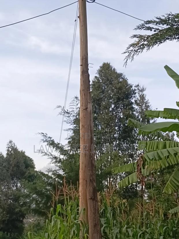 1/4 Acre in Matasia - thumbnail 2