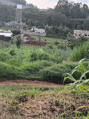 1/4 Acre in Matasia