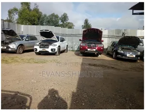 Repair of European Cars(German Cars) Bmw, Mercedes Benz, Vw, Audi Etc.