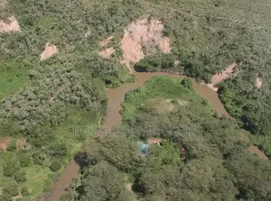 Own 1,760-Acre Kenyan Eden — Where the Soul Remembers How to Breathe