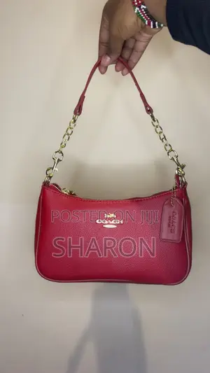 Coach Teri Bag+Free Cherry Charm