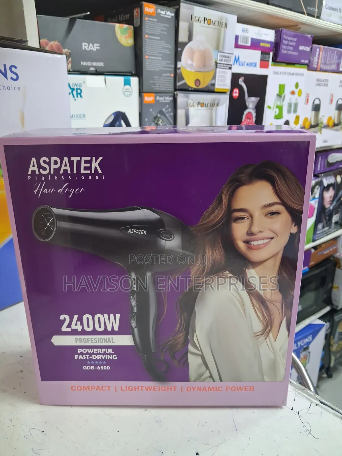 2400w Commercial Aspatek Blowdrier