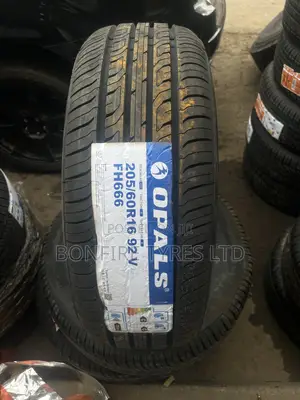205/60r16 Opals