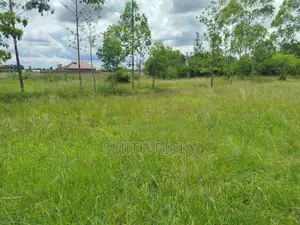 40 by 80 Prime Plot in Juja Farm