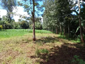Mukinduri, Kirinyaga - 1acre. Agricultural Land
