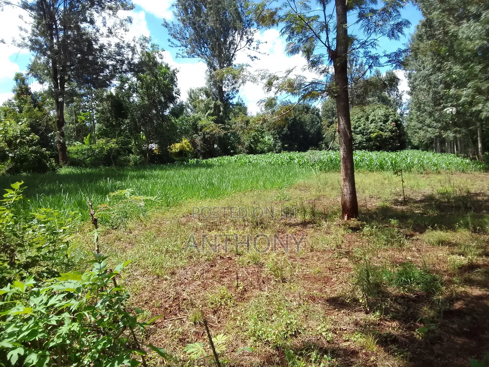 Mukinduri, Kirinyaga - 1acre. Agricultural Land