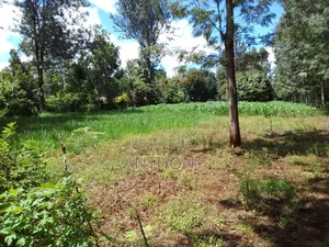 Mukinduri, Kirinyaga - 1acre. Agricultural Land