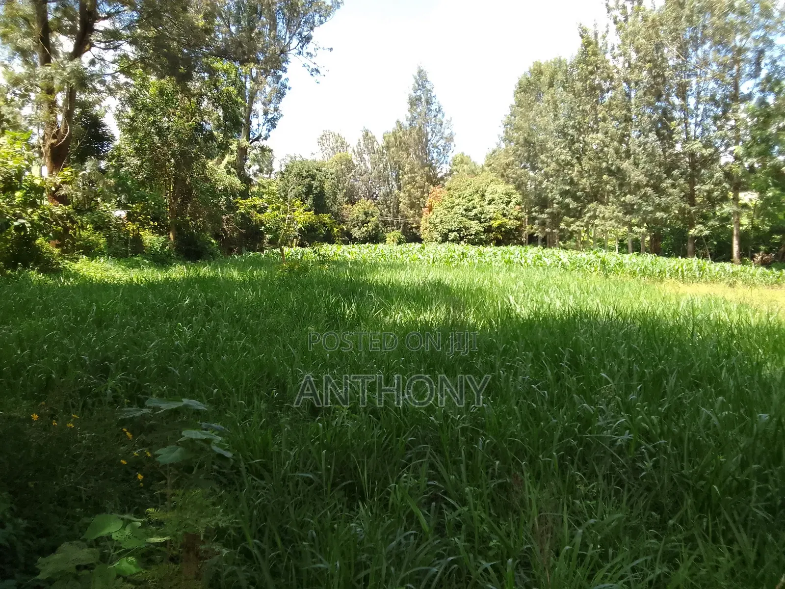 Mukinduri, Kirinyaga - 1acre. Agricultural Land