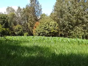 Mukinduri, Kirinyaga - 1acre. Agricultural Land