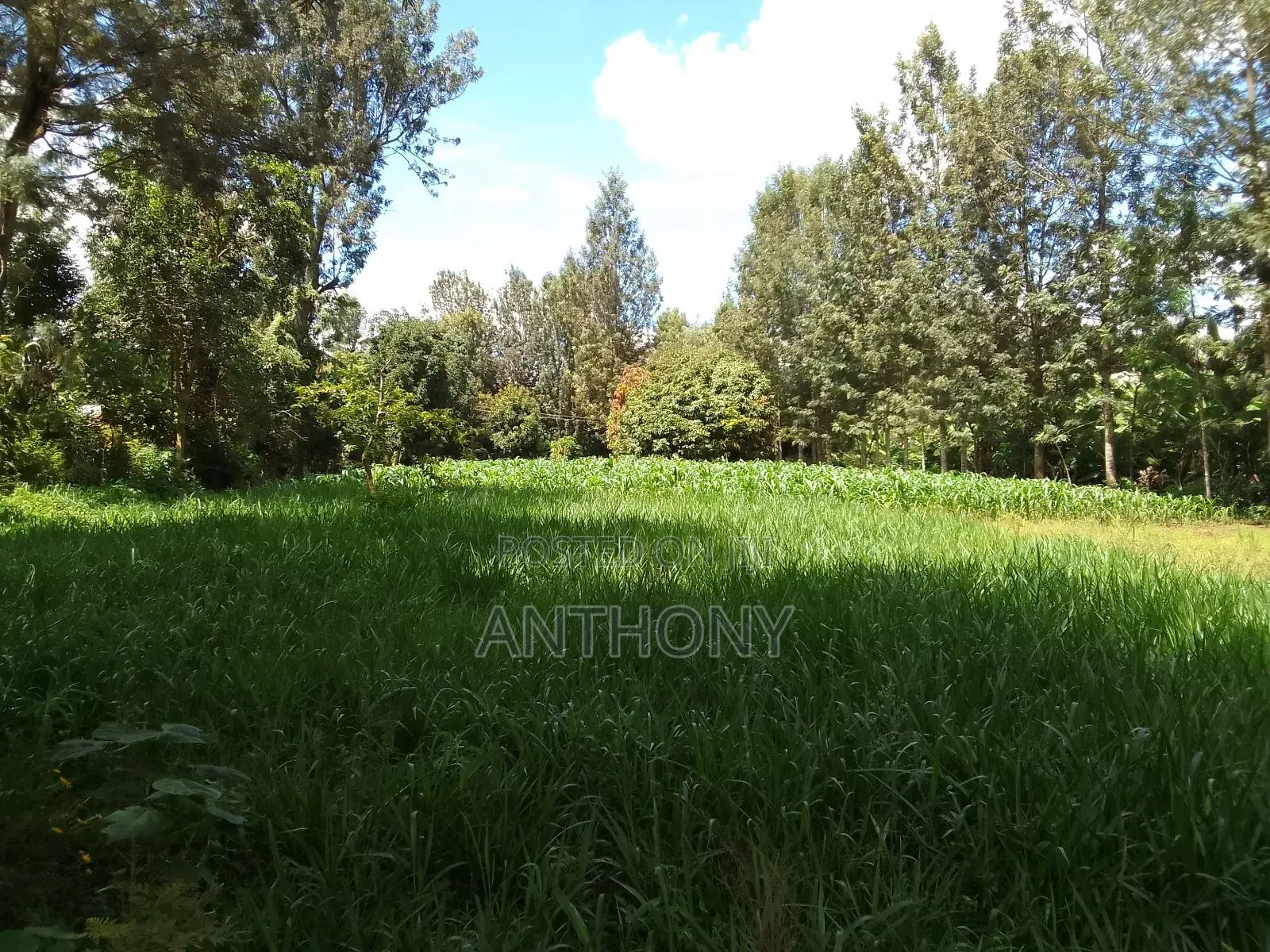 Mukinduri, Kirinyaga - 1acre. Agricultural Land