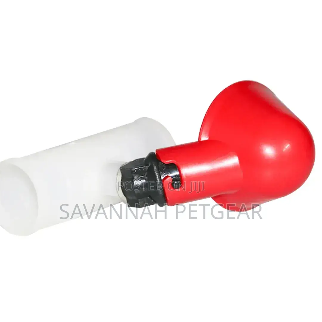 Broiler Chicken Drinkers and Feeders Poultry Chicken Drinker With Cup