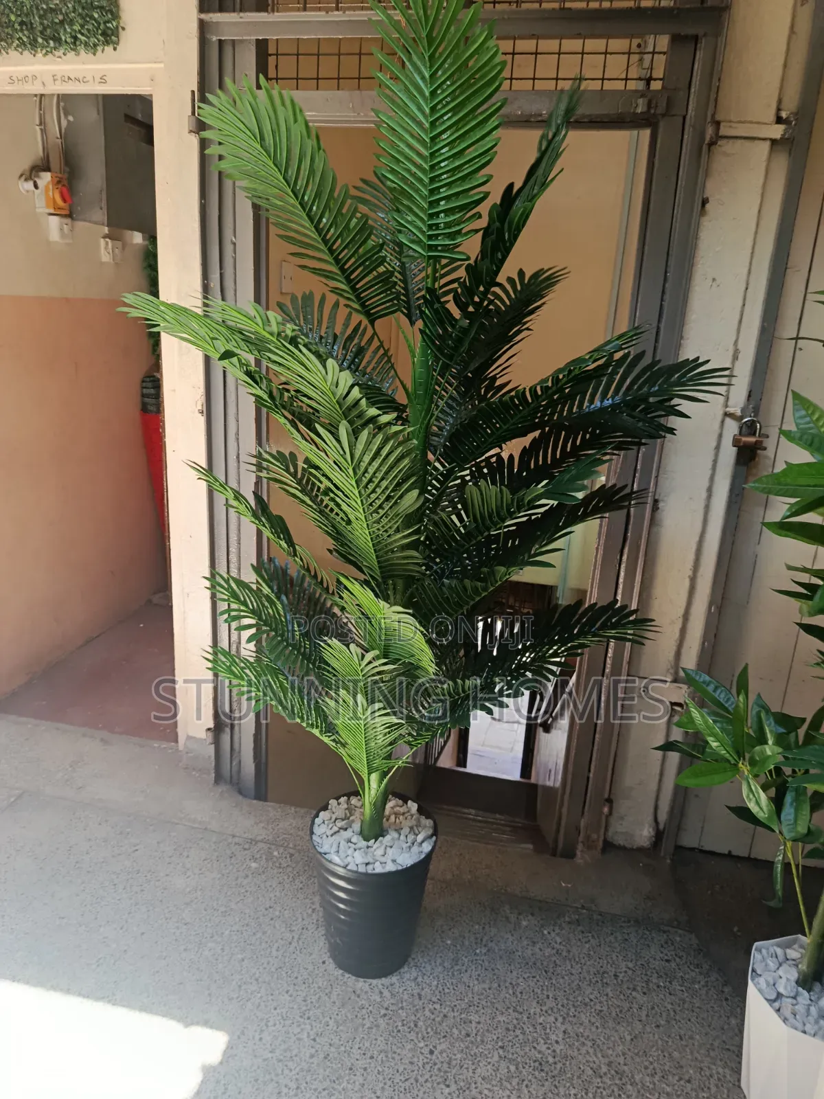 Big Artificial Palm Plant