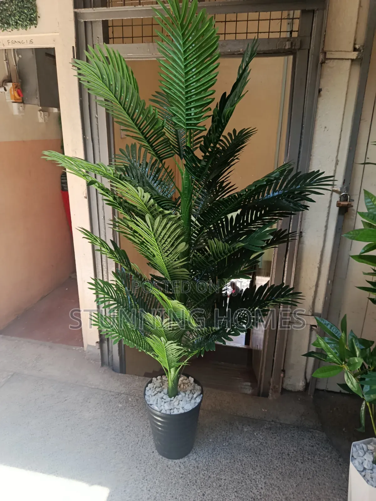 Big Artificial Palm Plant