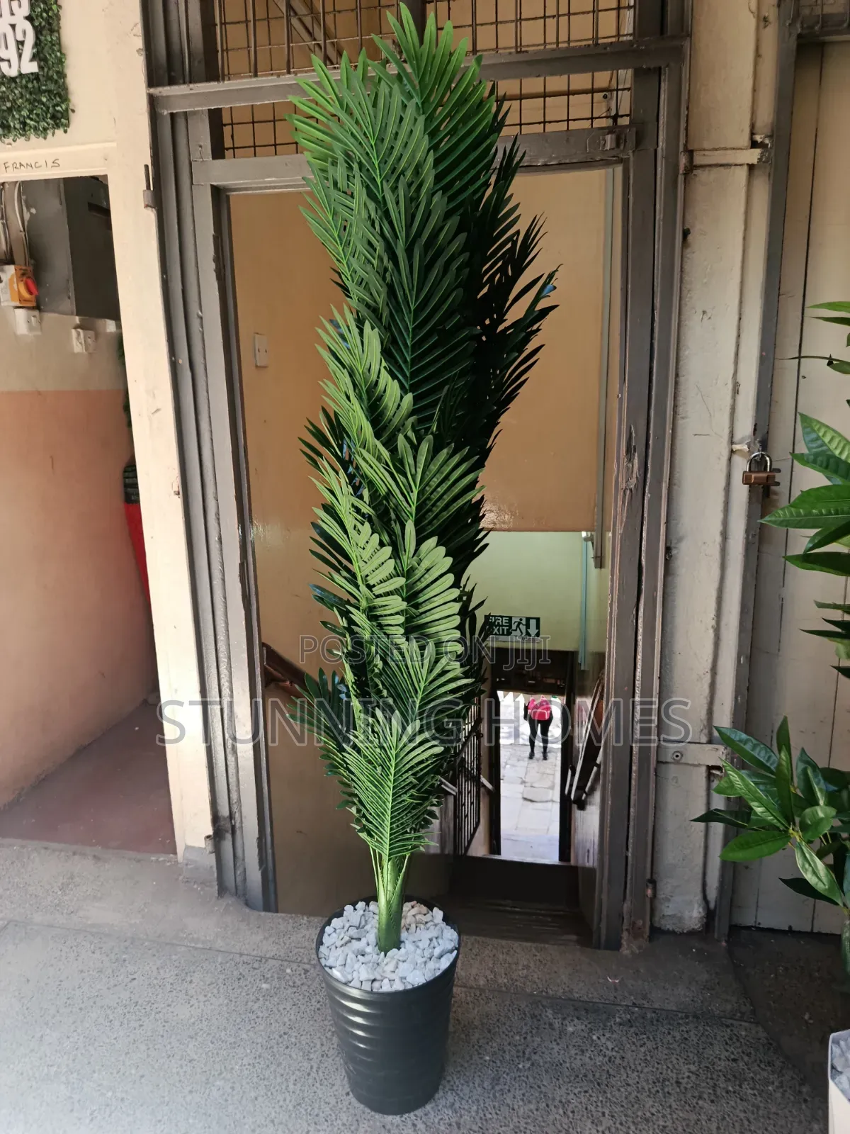 Big Artificial Palm Plant