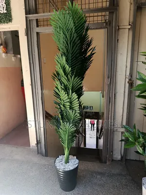 Big Artificial Palm Plant