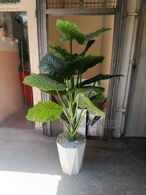 Artificial Nduma Plant