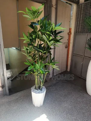 Artificial Mango Leaves Plant