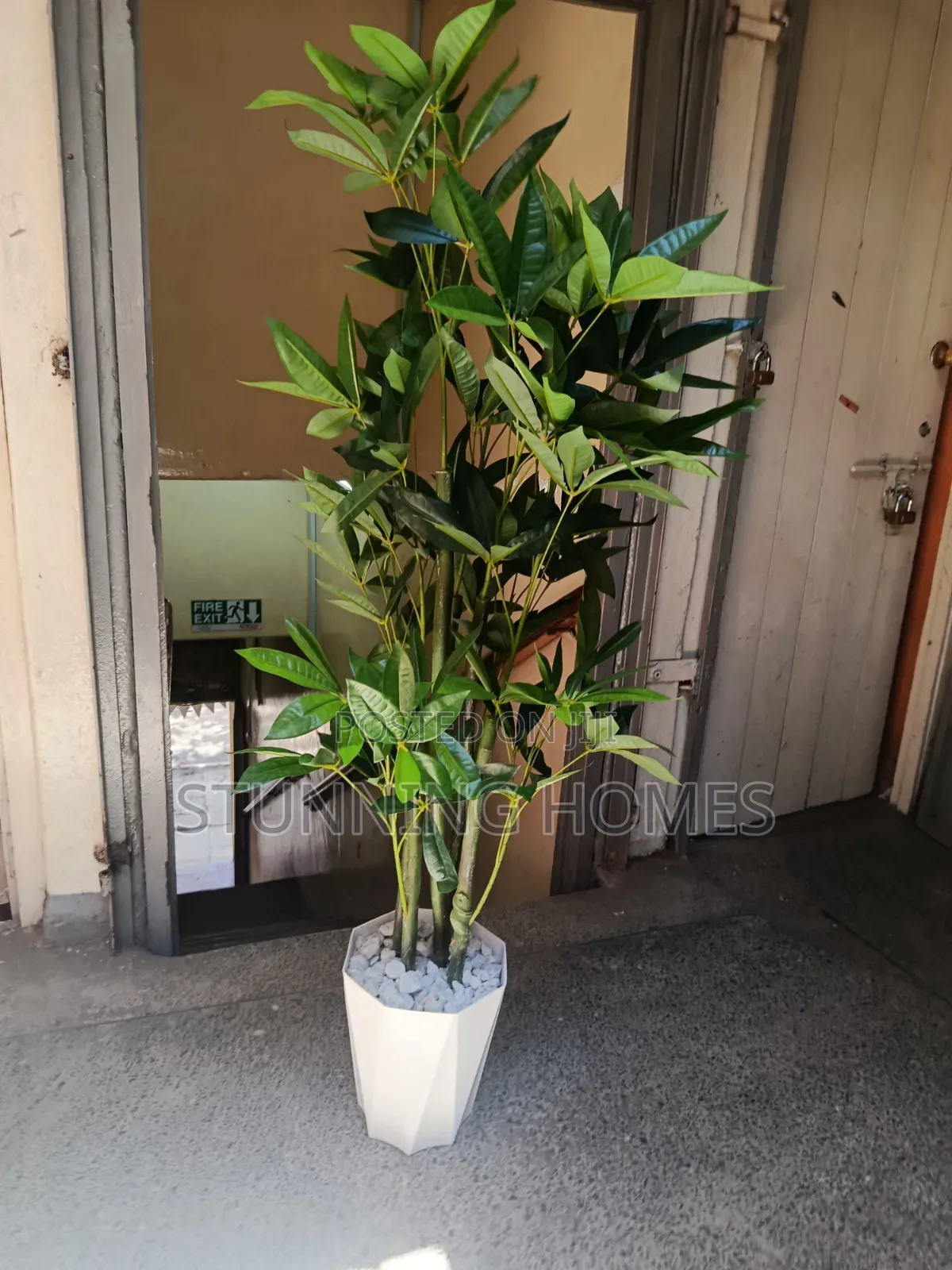 Artificial Mango Leaves Plant