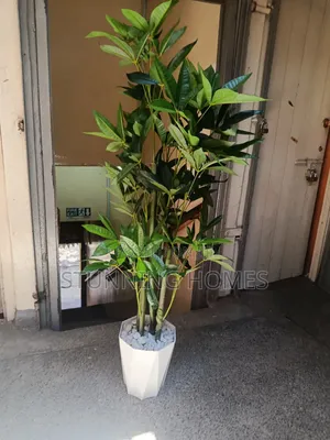 Artificial Mango Leaves Plant