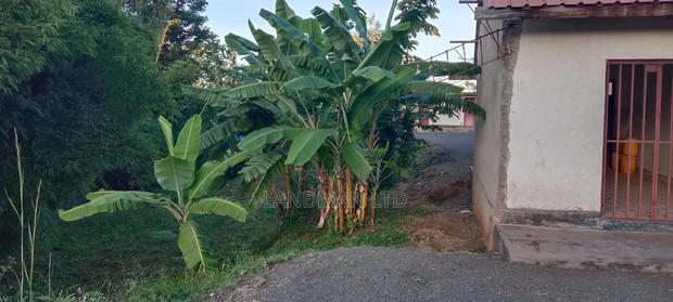 Prime Highway Property For Sale –Kenol Mutoho - thumbnail 6