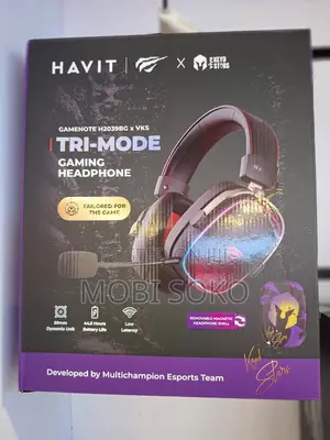 Havit H2039bg Tri-Mode Gaming Headphone With RGB