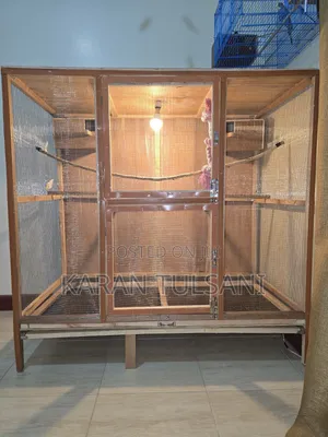 Cage for Birds