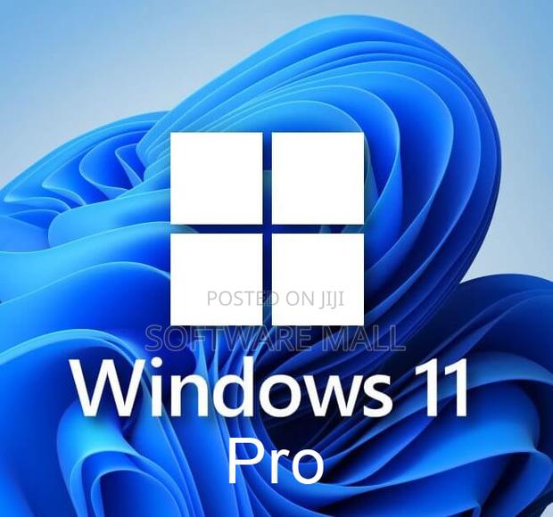 Windows 11 Pro 1 User Oem - main view